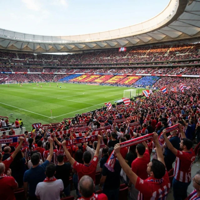 Atlético Madrid vs FC Malaga