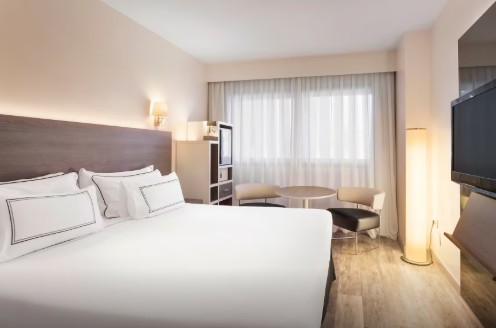 Hotel Meliá Lebreros